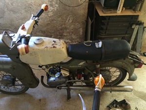 Simson Habicht